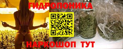 крисы Апшеронск