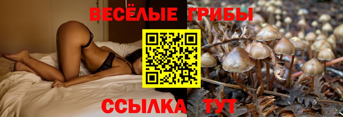 Псилоцибиновые грибы мухоморы Вязники